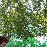 ester vignolles's Photo