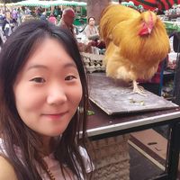 Hansoul Lee的照片