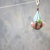 Anna Bianchi's Photo