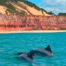 Praia Golfinhos's picture