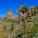 Hike In La Gomera 's picture