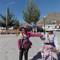 emi Couillard's Photo