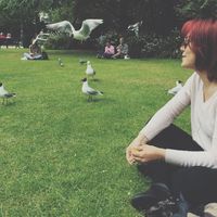 Merdiye Vatanandıran的照片