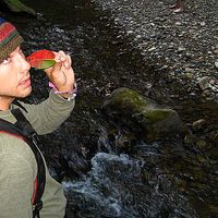 Phoenix Rose's Photo