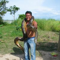 Pedro Jungle Shaman's Photo