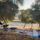 Week End Breakfast @ Wadi Hanifah 's picture