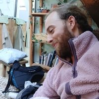 Alex Brandon的照片