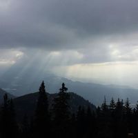 Semsedin Senol's Photo