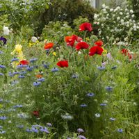 NadinEkatarina EkatariNadine's Photo