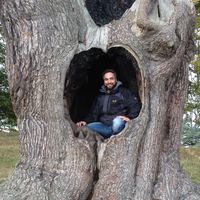 scott ainslie的照片