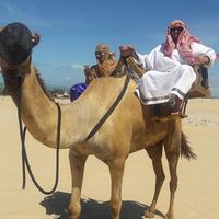 Flávio Passos's Photo