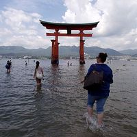 Elise Rey-Jacquot的照片