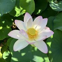 Wendy Maltet's Photo