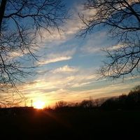 Ahmed Khalil's Photo