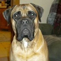 Fotos de Dawne Miller