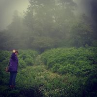 Marzieh R.P的照片