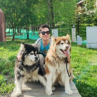 Kenta LIANG的照片