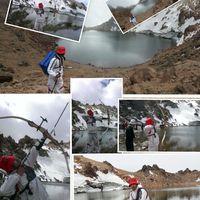 Mehdi Ghanbari's Photo