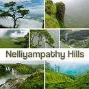 Nelliyampathy Hills Nature Trekking's picture