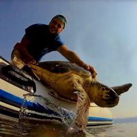 Fotos de Sebastian Hoefer