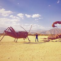 ersin Gungor的照片