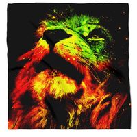 Luca Corradetti's Photo