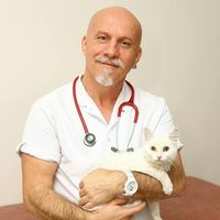 Zdjęcia użytkownika Halil Akyürek