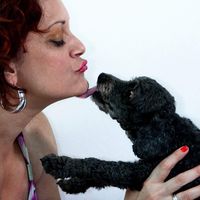 Soraya Rabadji的照片