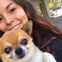 Фотографии пользователя Dani Victtoriano Pesce