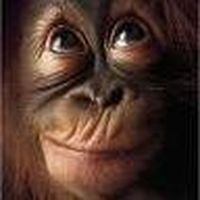 Ondřej Vojtuš's Photo