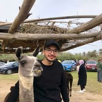 Marwan Elashmawy's Photo