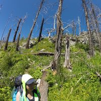 Hui Yi Chang的照片