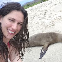 Tünde Juhász's Photo