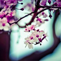 Baddi Mohamed's Photo