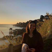 Фотографии пользователя Bartira Freire