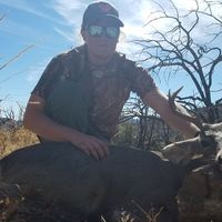 Donald Duckworth的照片