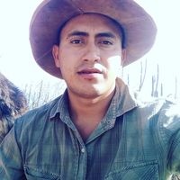 Javier I. Lizarraga's Photo