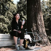 Tina Nguyen的照片