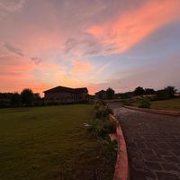 Chirag Patel的照片