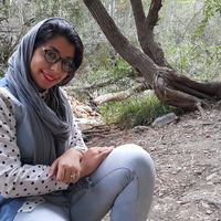 delnia tayebi的照片