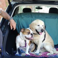 Fotos von Giulia Pasqualitto