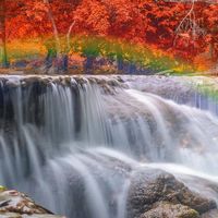 Mohamed Nour's Photo