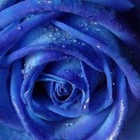 Rizky Nugraha的照片