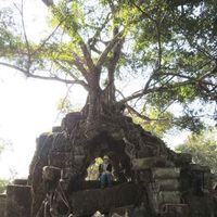 Chinatsu Sakagami的照片