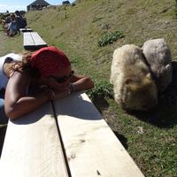 Fotos de Marion Vela