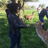 Natasha Alves的照片