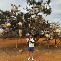 Фотографии пользователя Samad Iqbal