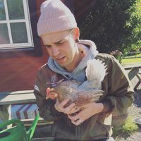 Фотографии пользователя Joakim Westman