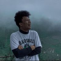 Kris Krisssssss的照片