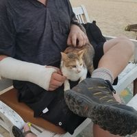 adam henrickson's Photo